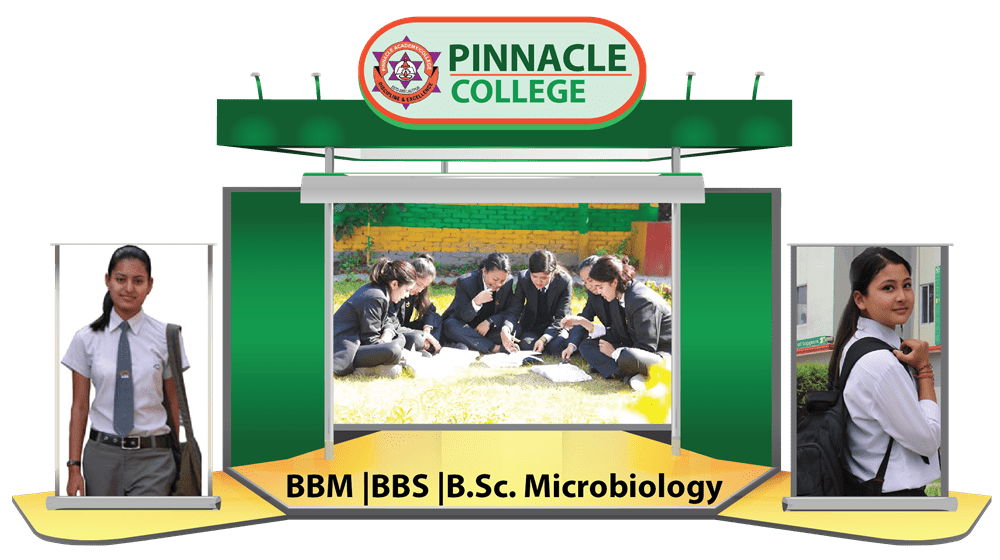 Pinnacle Academy